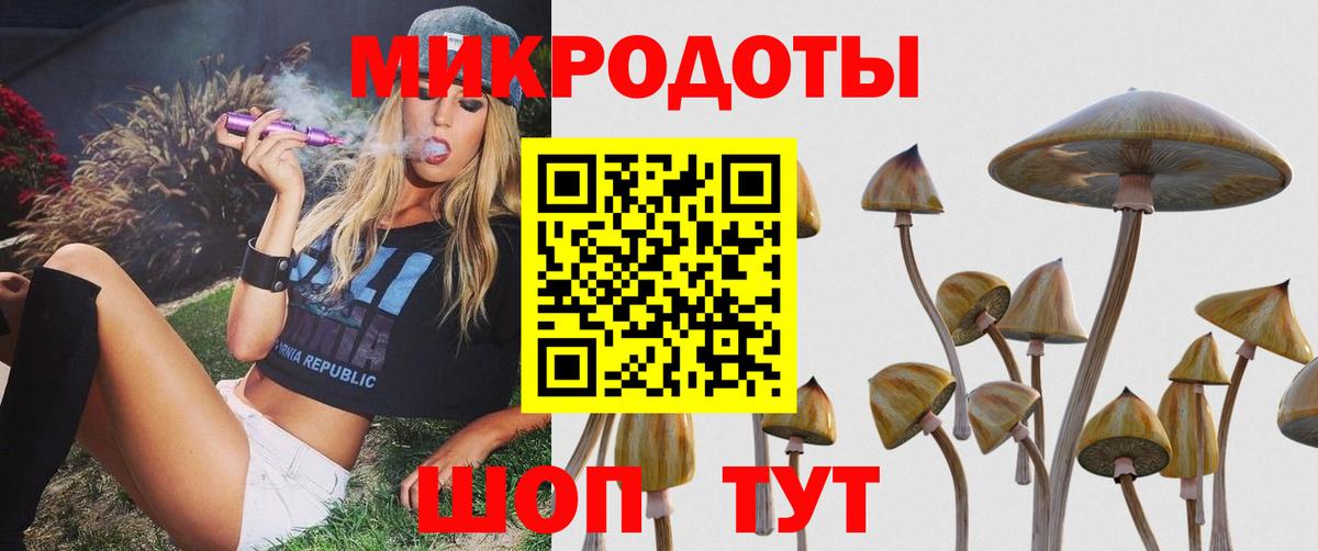 Псилоцибиновые грибы MAGIC MUSHROOMS  Вход с VPN  Клинцы  закладки  Псилоцибиновые грибы мухоморы 